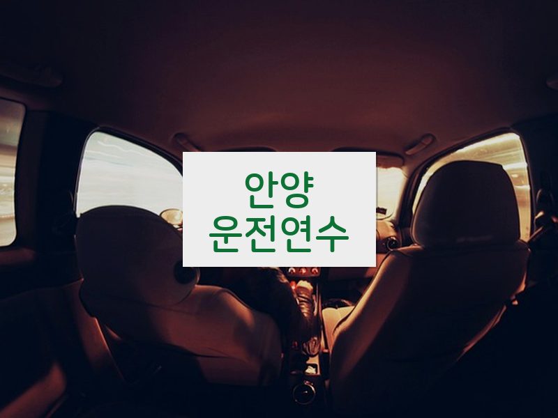 안양운전연수 후기
