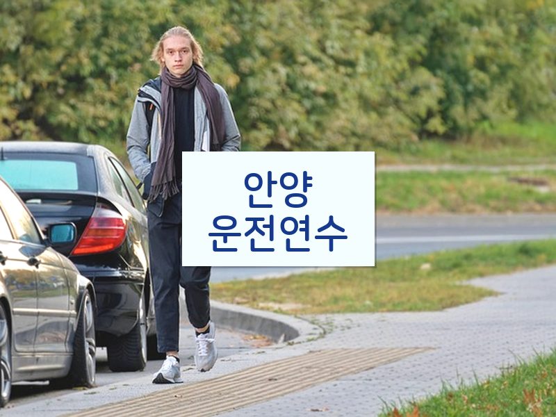 안양운전연수 후기