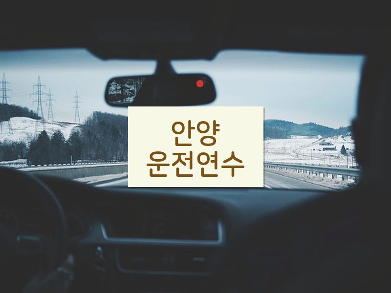 안양운전연수 후기