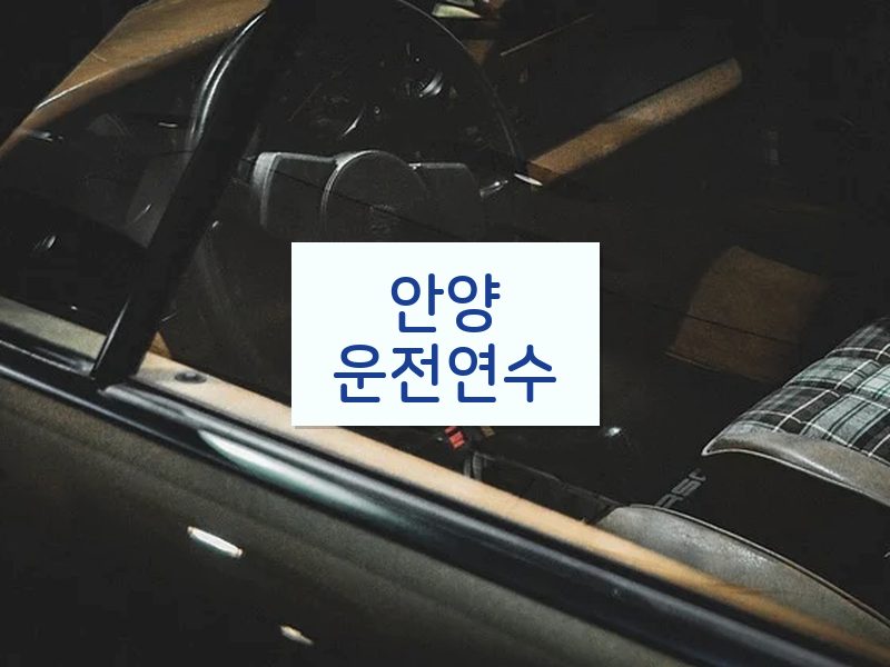 안양운전연수 후기