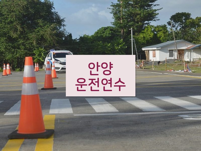 안양운전연수 후기