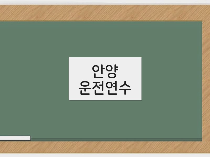 안양운전연수 후기