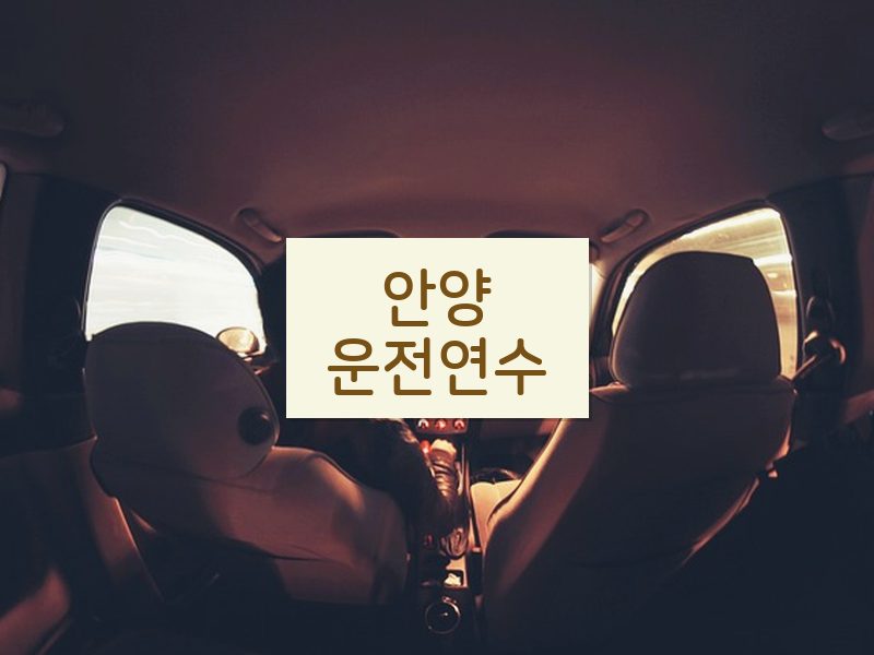 안양운전연수 후기