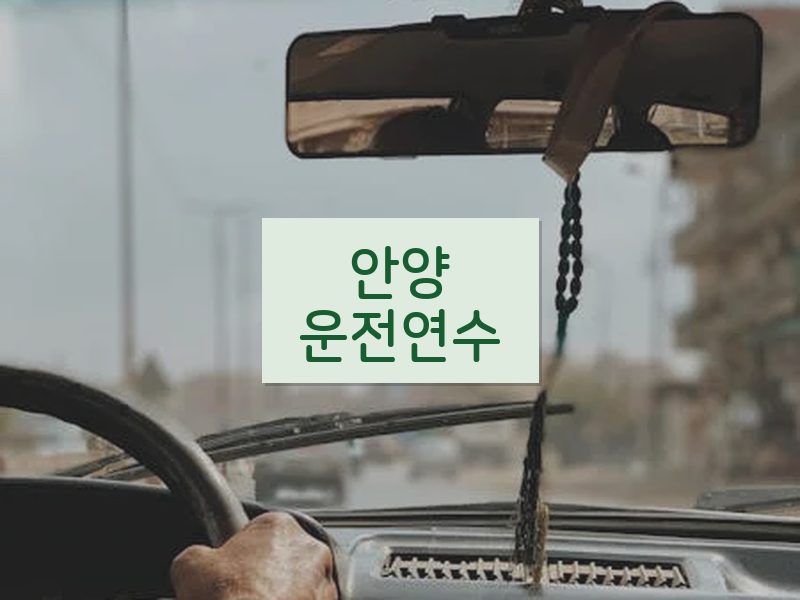 안양운전연수 후기