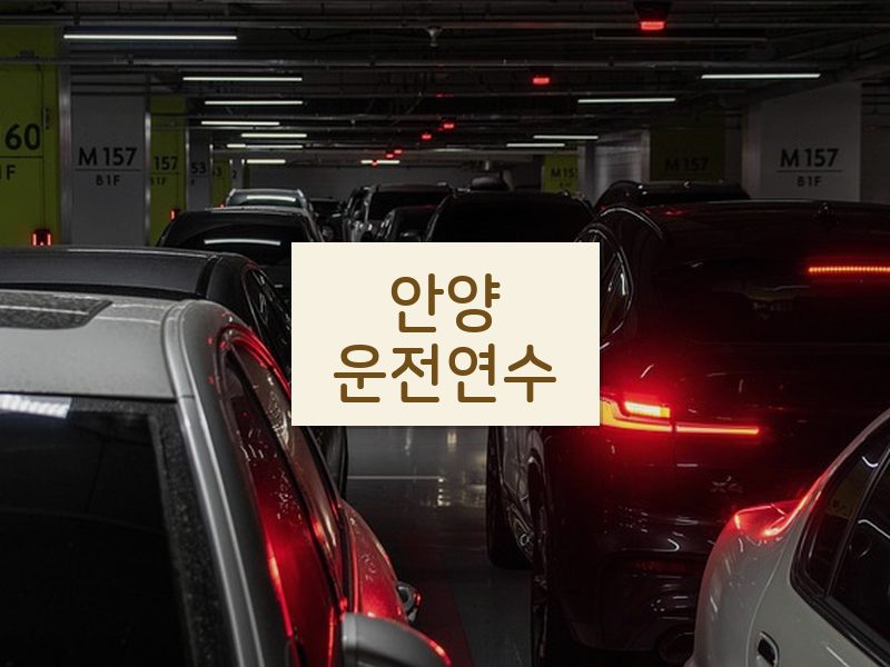 안양운전연수 후기