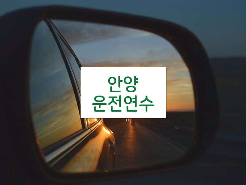 안양운전연수 후기