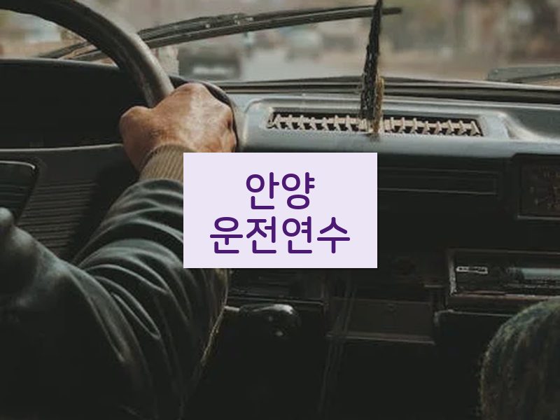 안양운전연수 후기