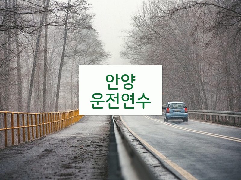 안양운전연수 후기