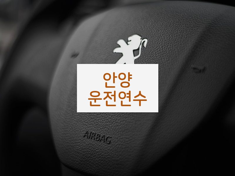 안양운전연수 후기