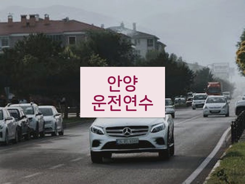 안양운전연수 후기