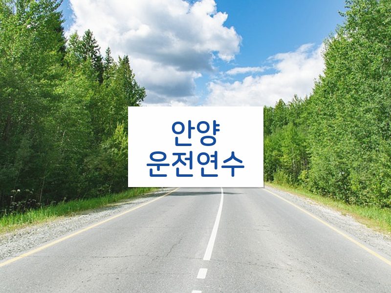 안양운전연수 후기