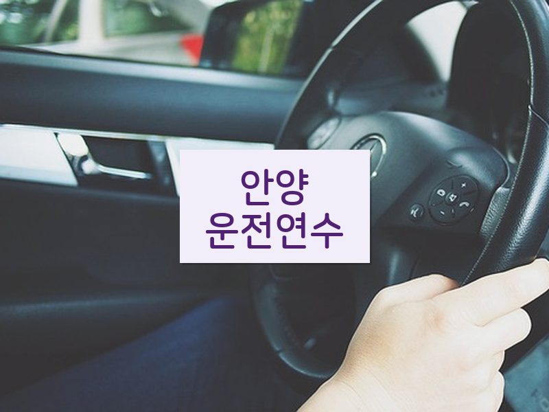 안양운전연수 후기