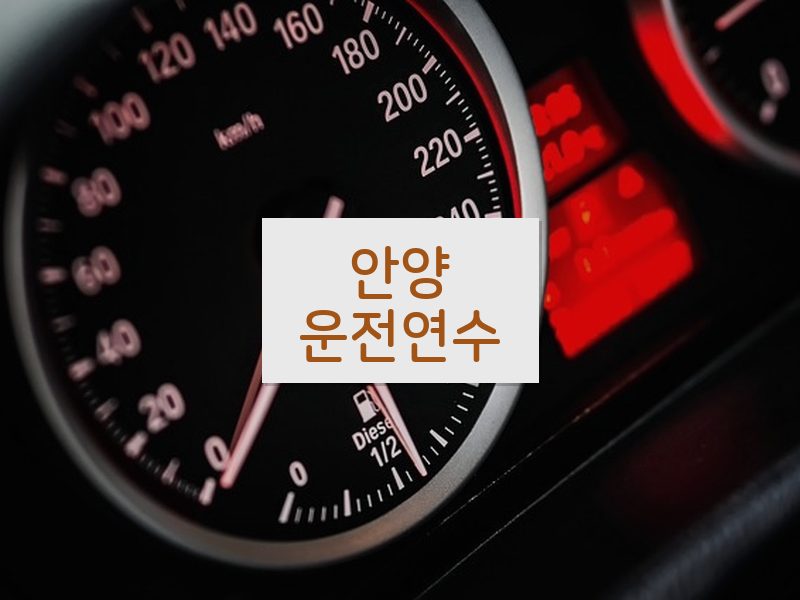 안양운전연수 후기