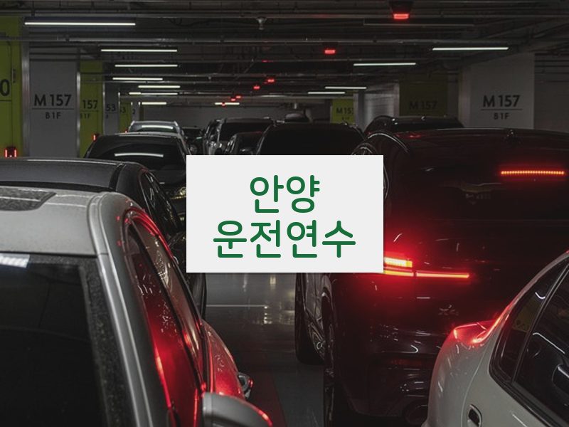 안양운전연수 후기