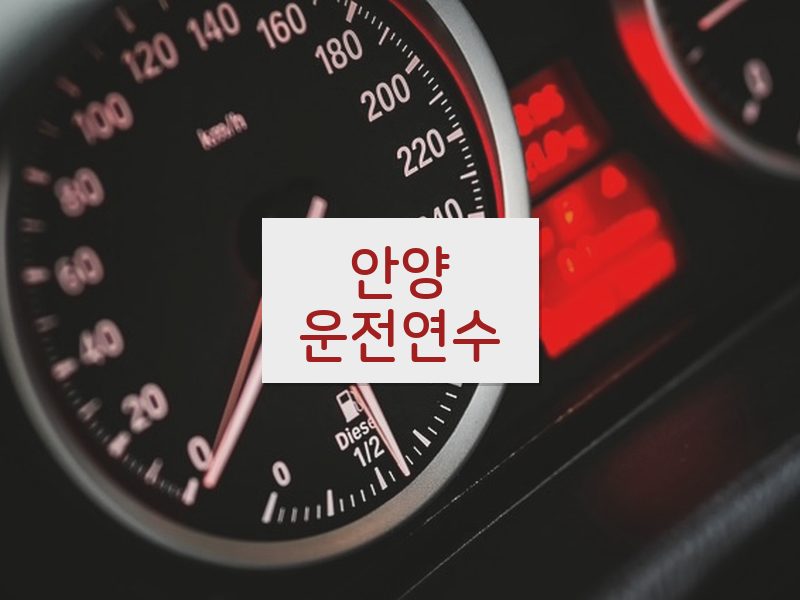 안양운전연수 후기