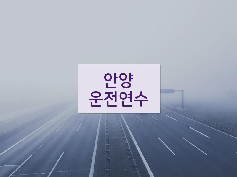 안양운전연수 후기
