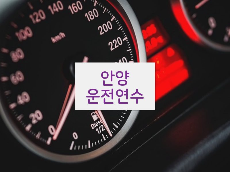 안양운전연수 후기