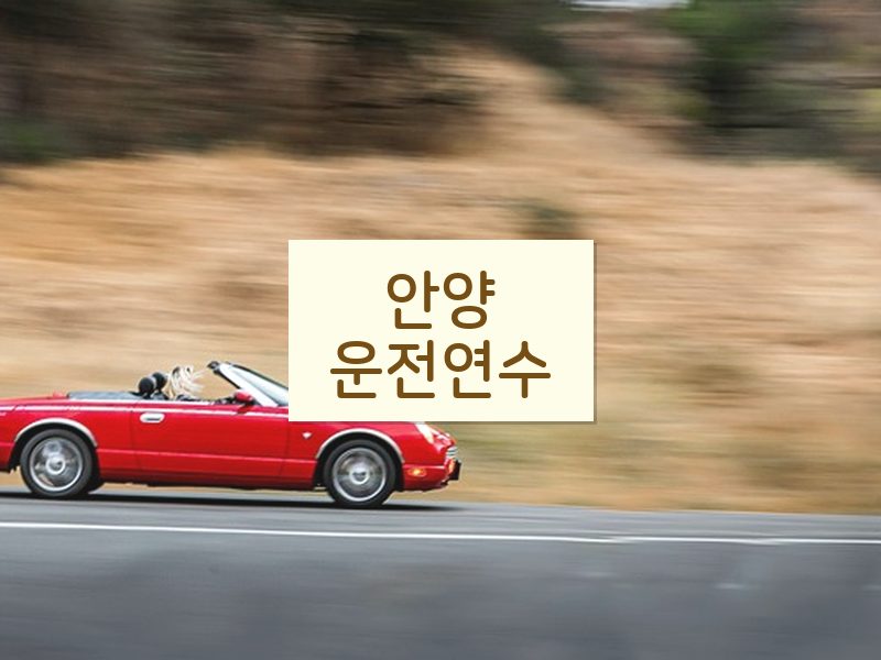 안양운전연수 후기