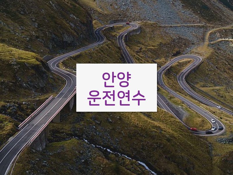안양운전연수 후기