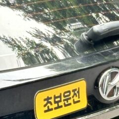 장롱면허 2년 탈출한 안양 초보운전연수 10시간 후기