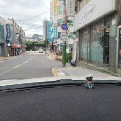 안양운전연수 덕분에 운전 시작했어요