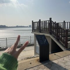 초보운전연수 추천 후기 비용 가격 총정리